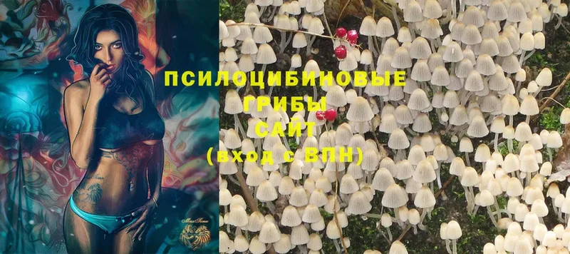 Псилоцибиновые грибы Psilocybine cubensis  ссылка на мегу ССЫЛКА  Красногорск  купить закладку 